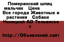 Померанский шпиц, мальчик › Цена ­ 35 000 - Все города Животные и растения » Собаки   . Ненецкий АО,Тельвиска с.